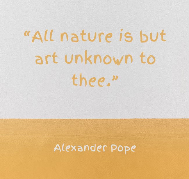 Alexander Pope Quotes 