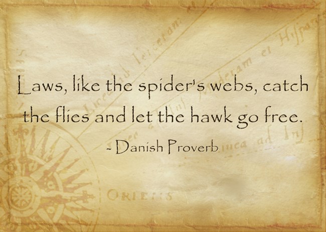 laws like the spiders webs catch the flies and let the hawk