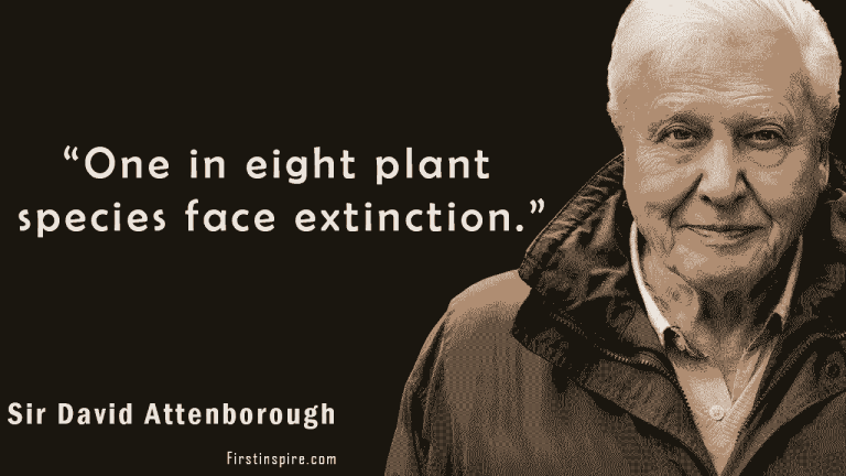 David Attenborough quotes