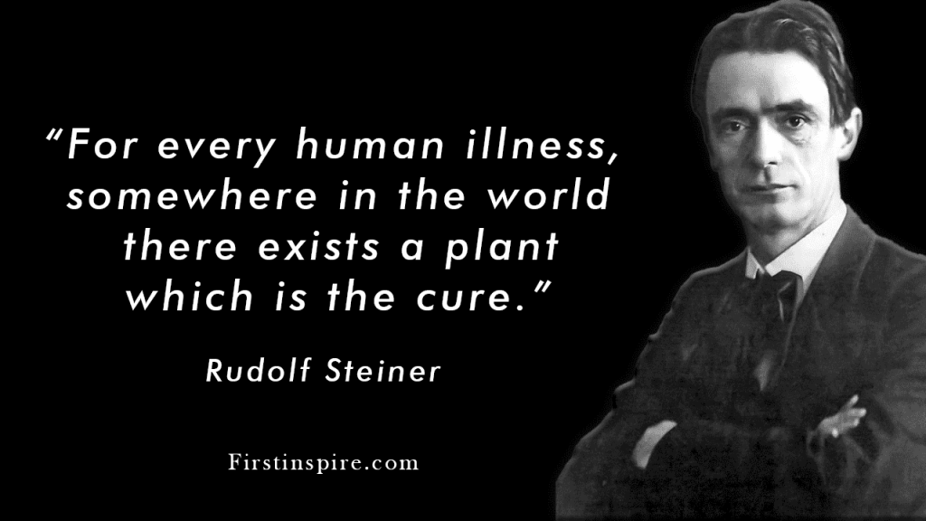 for every human illness somewhere in the world there exists a plant which is the cure