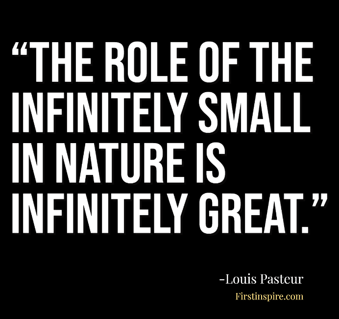 The role of the infinitely small in nature is infinitely great Louis Pasteur Quotes